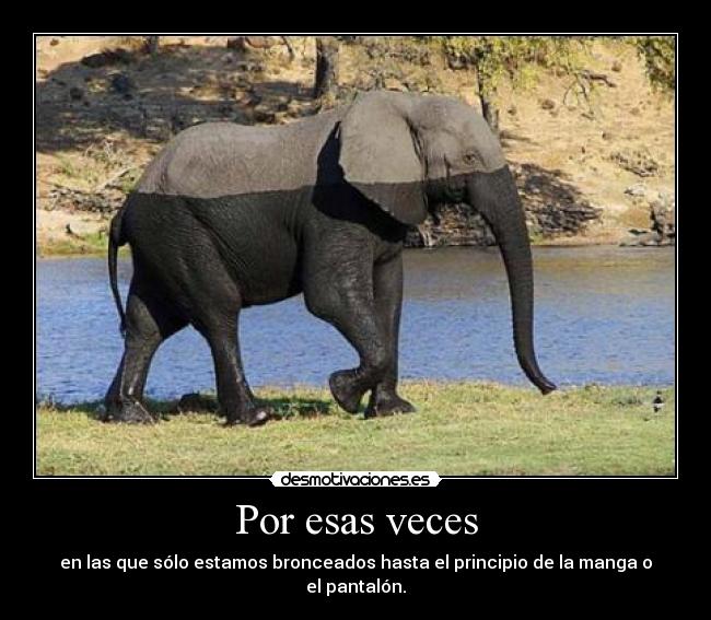 Por esas veces -