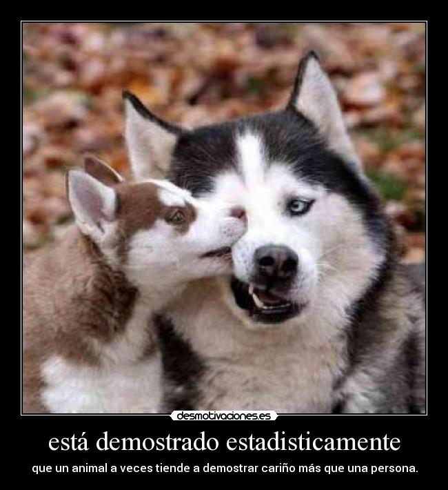 está demostrado estadisticamente -