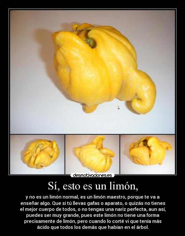 Sí, esto es un limón, - 