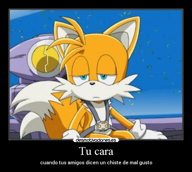 carteles tails colas chiste amigos anime sonic mal gusto zorro desmotivaciones