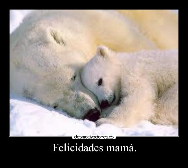 Felicidades mamá. -