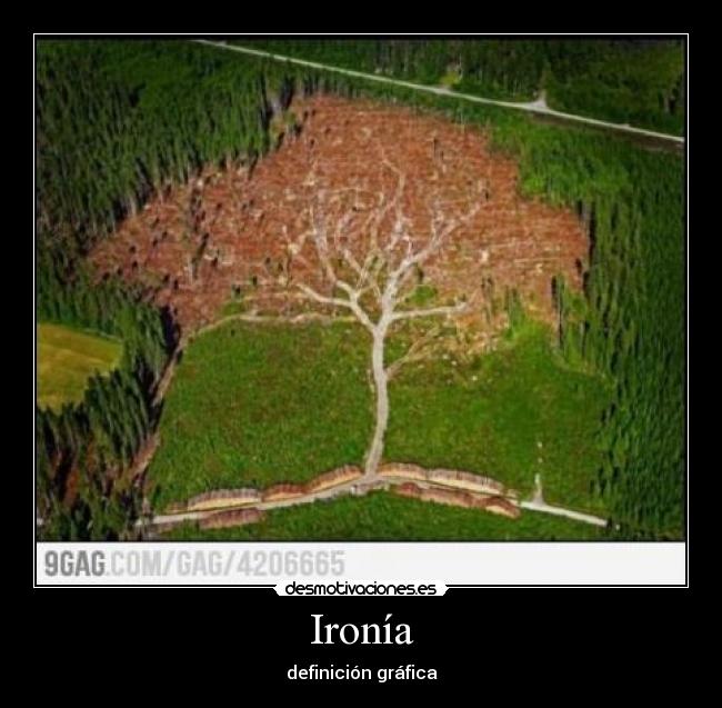 Ironía - definición gráfica