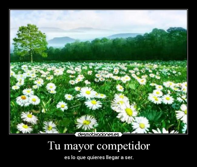 carteles mucha razon desmotivaciones