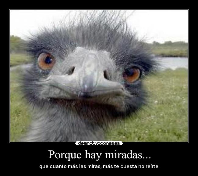 Porque hay miradas... - 