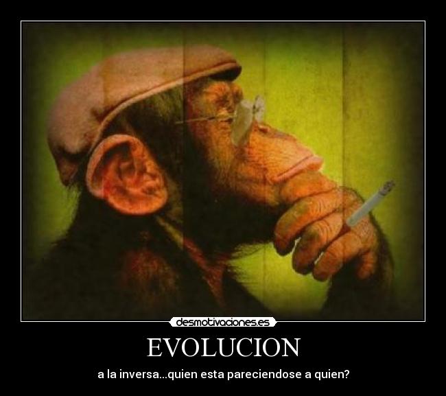 EVOLUCION -