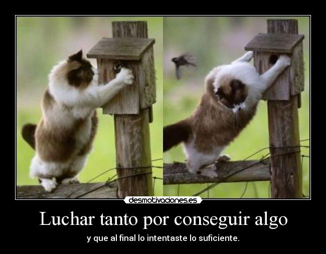 carteles lrgvnlsfnbdf desmotivaciones