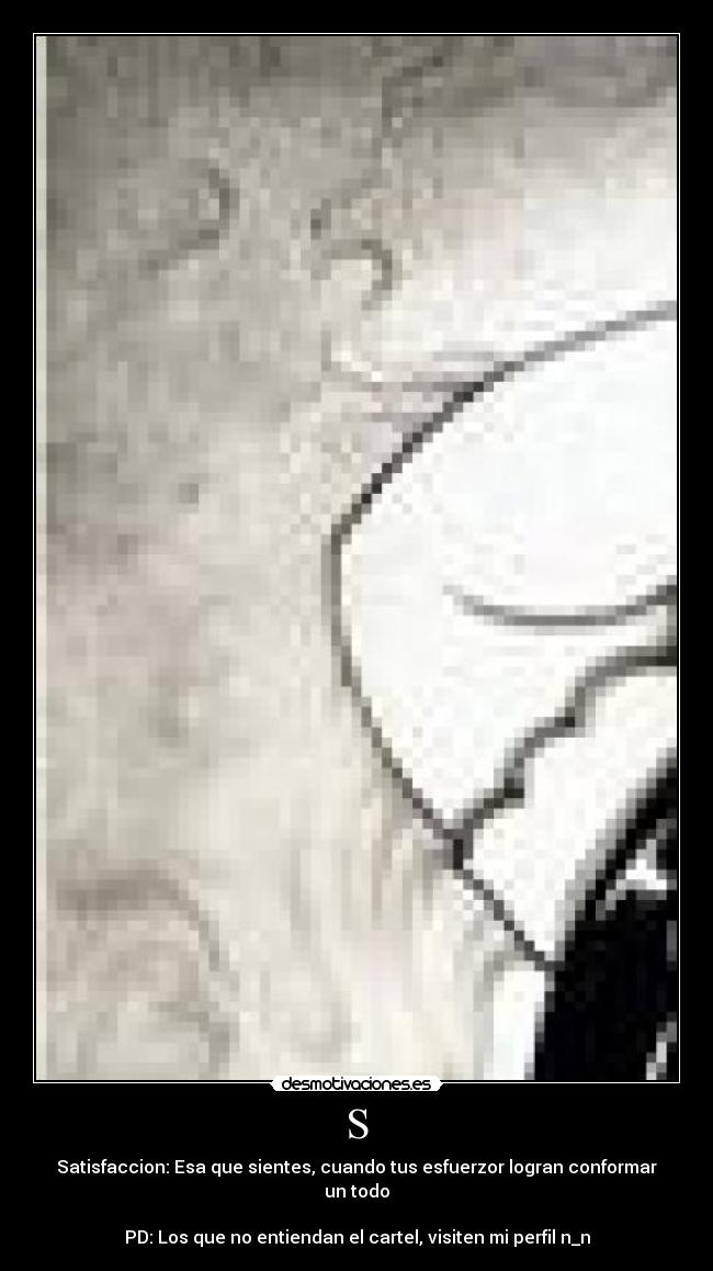 carteles satisfaccion que sientes cuando tus esfuerzor logran conformar todo desmotivaciones