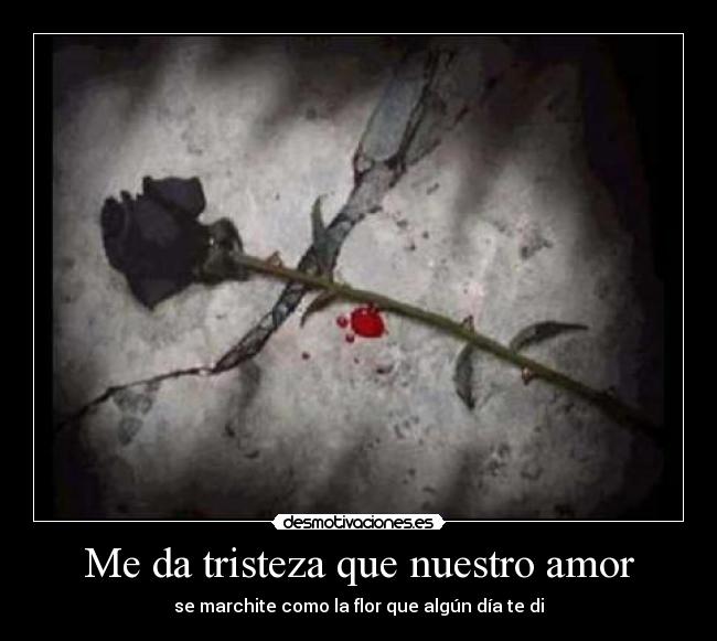 Me da tristeza que nuestro amor - se marchite como la flor que algún día te di