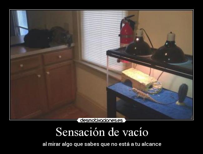 Sensación de vacío -