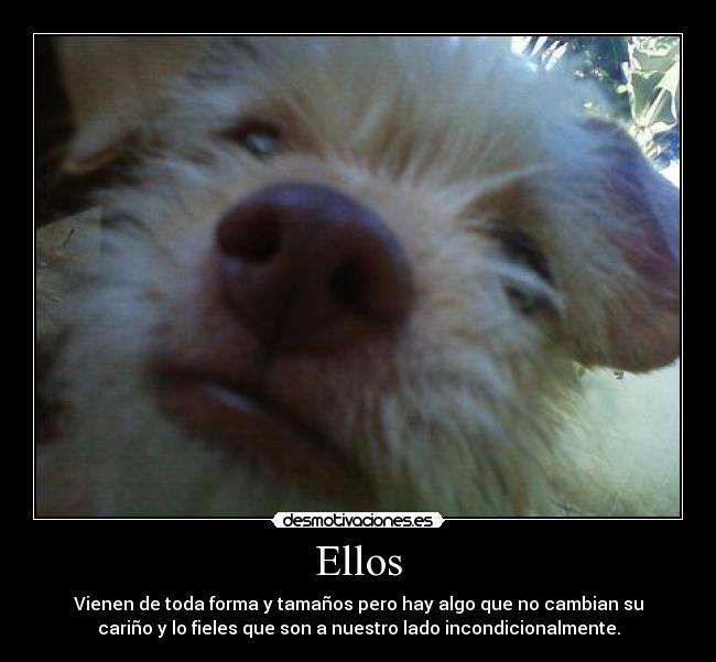 Ellos -