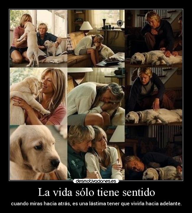 La vida sólo tiene sentido - cuando miras hacia atrás, es una lástima tener que vivirla hacia adelante.