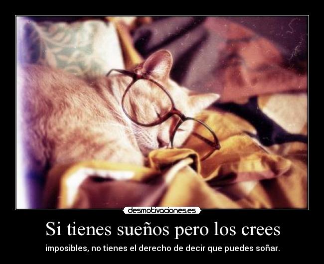 Si tienes sueños pero los crees -