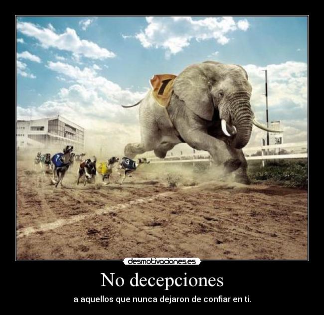 No decepciones - a aquellos que nunca dejaron de confiar en ti.