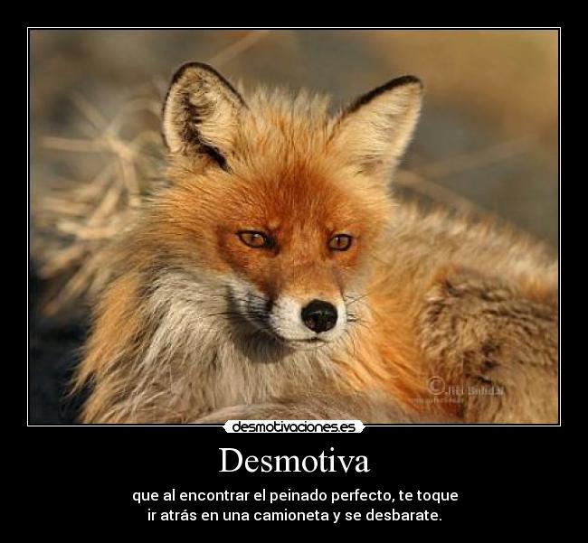 Desmotiva - 
