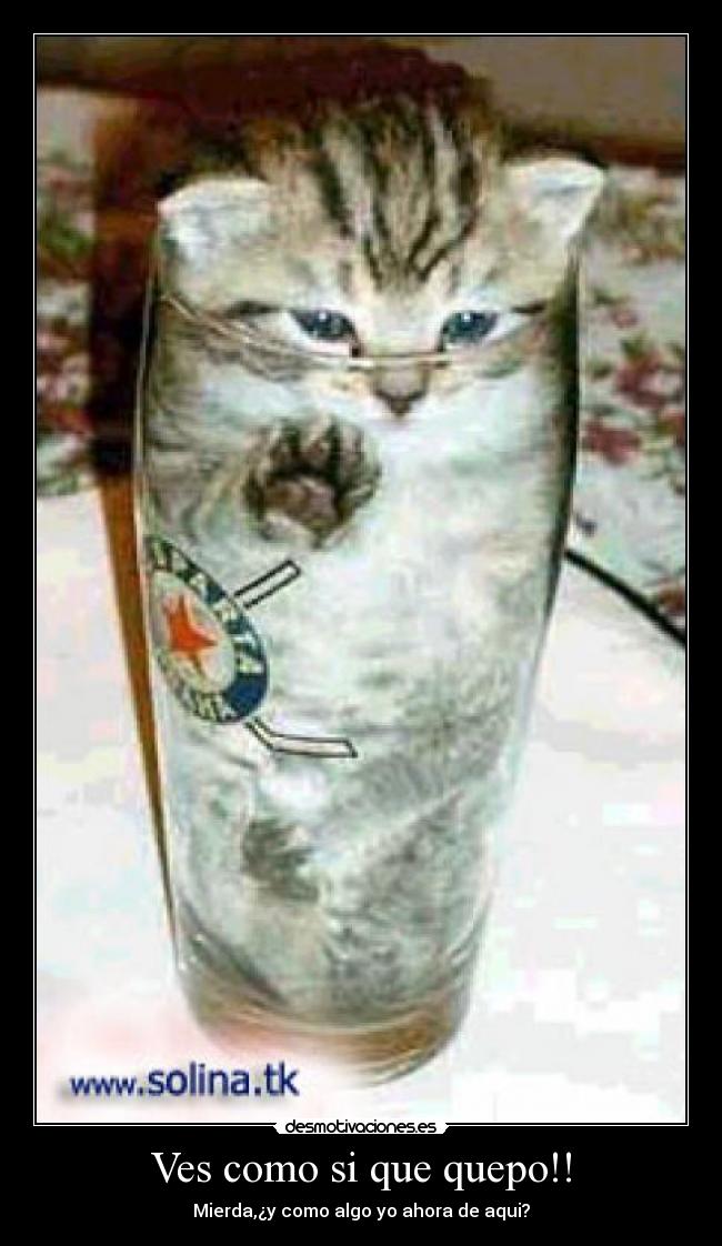 Ves como si que quepo!! -