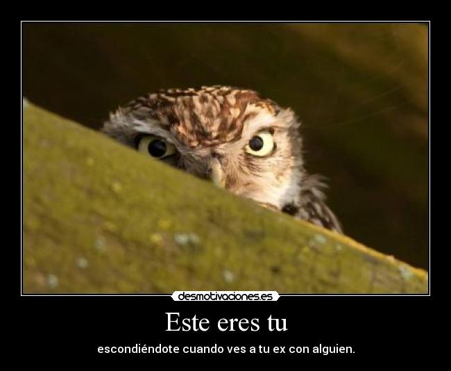 Este eres tu - escondiéndote cuando ves a tu ex con alguien.