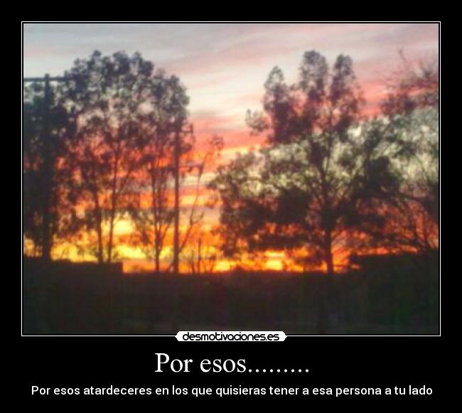 Por esos......... - Por esos atardeceres en los que quisieras tener a esa persona a tu lado