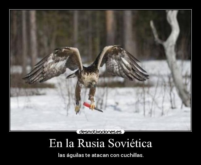 En la Rusia Soviética - las águilas te atacan con cuchillas.