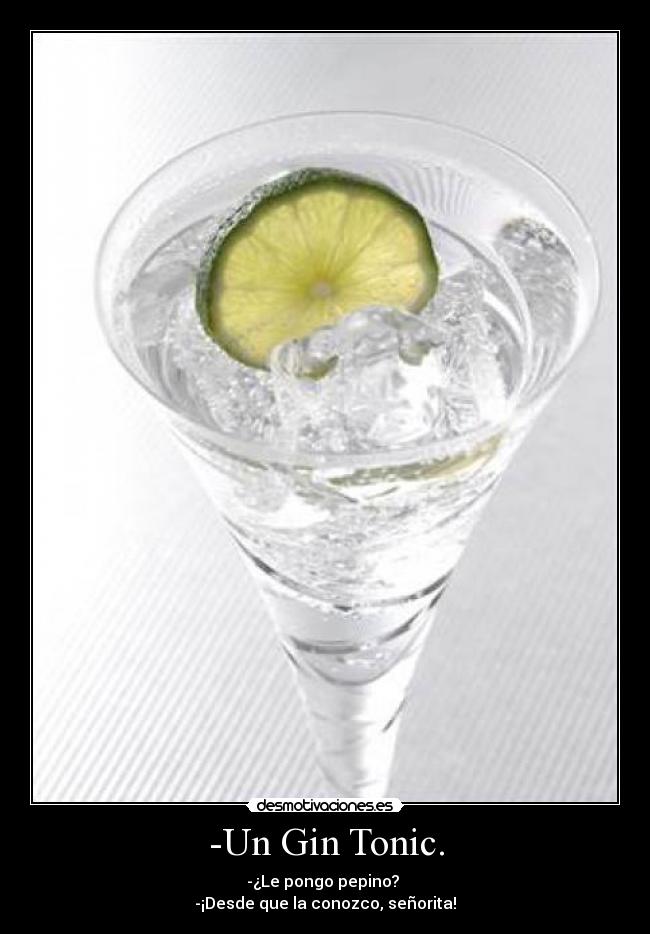 -Un Gin Tonic. -