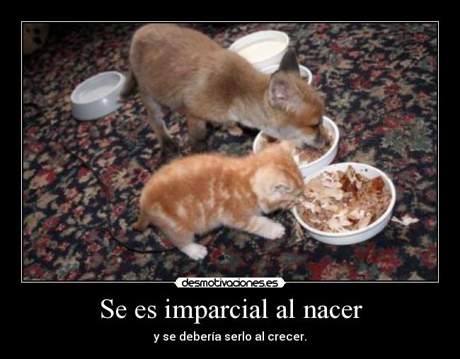 Se es imparcial al nacer -