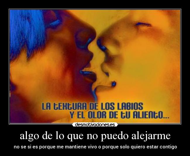carteles amor desmotivaciones