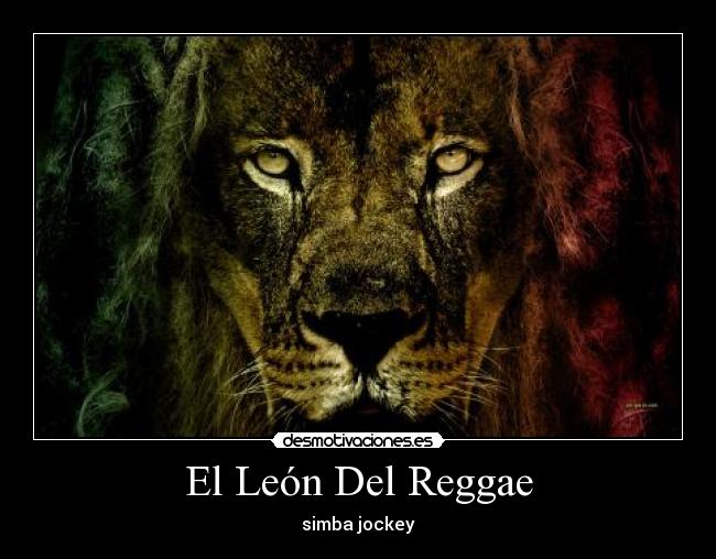 El León Del Reggae - simba jockey