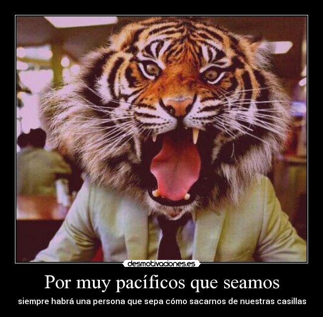 Por muy pacíficos que seamos - siempre habrá una persona que sepa cómo sacarnos de nuestras casillas