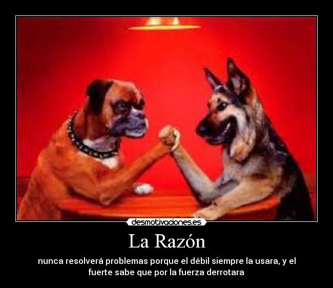 carteles por razon fuerza desmotivaciones