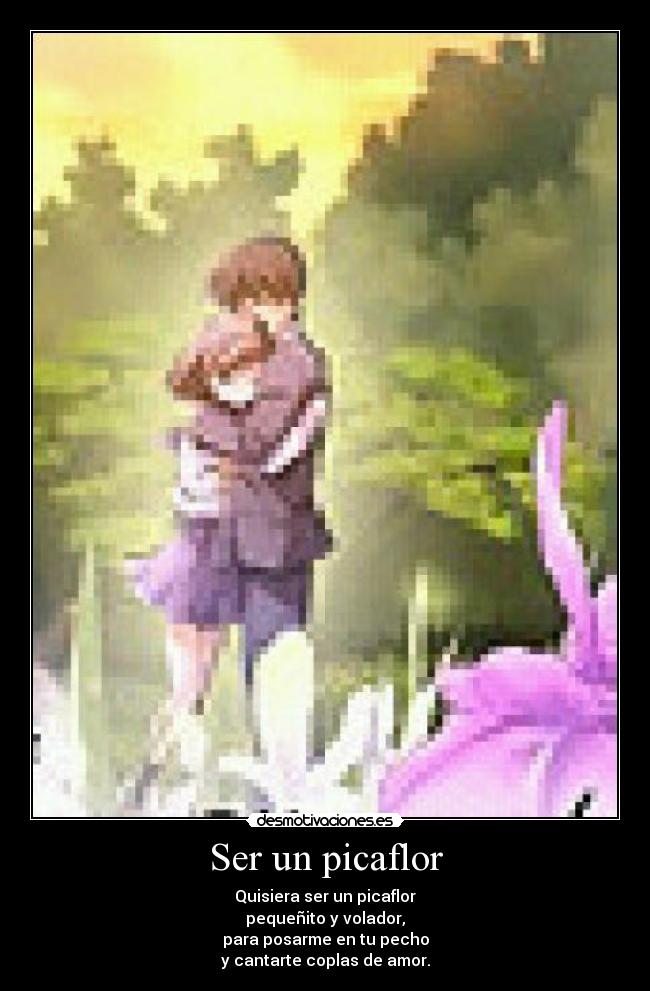 Ser un picaflor - Quisiera ser un picaflor
pequeñito y volador,
para posarme en tu pecho
y cantarte coplas de amor.