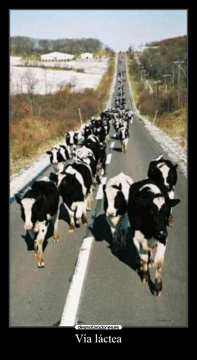 Vía láctea -