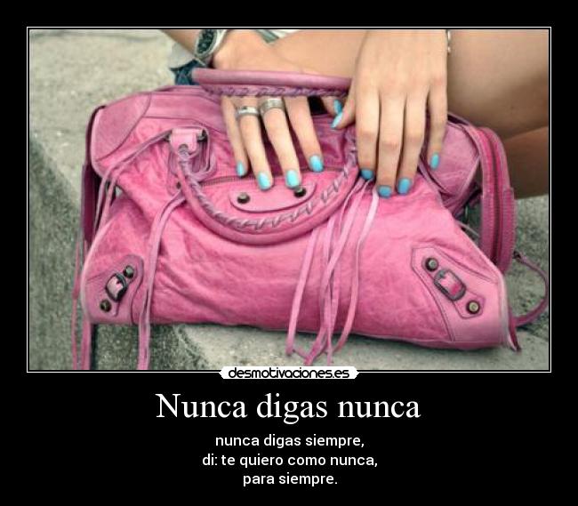 Nunca digas nunca - 