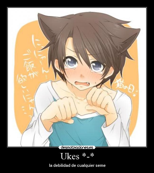 Ukes *-* -