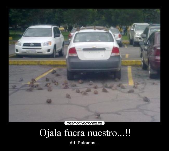 Ojala fuera nuestro...!! - 