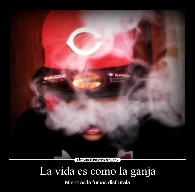 La vida es como la ganja - Mientras la fumas disfrutala