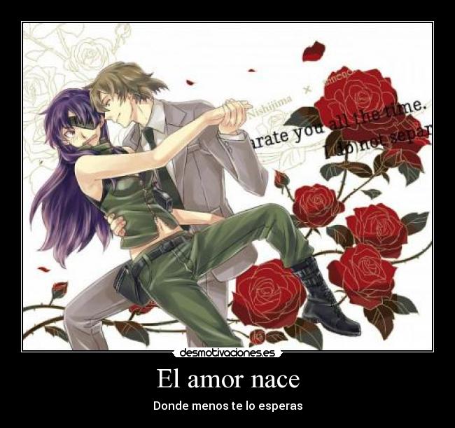 El amor nace -