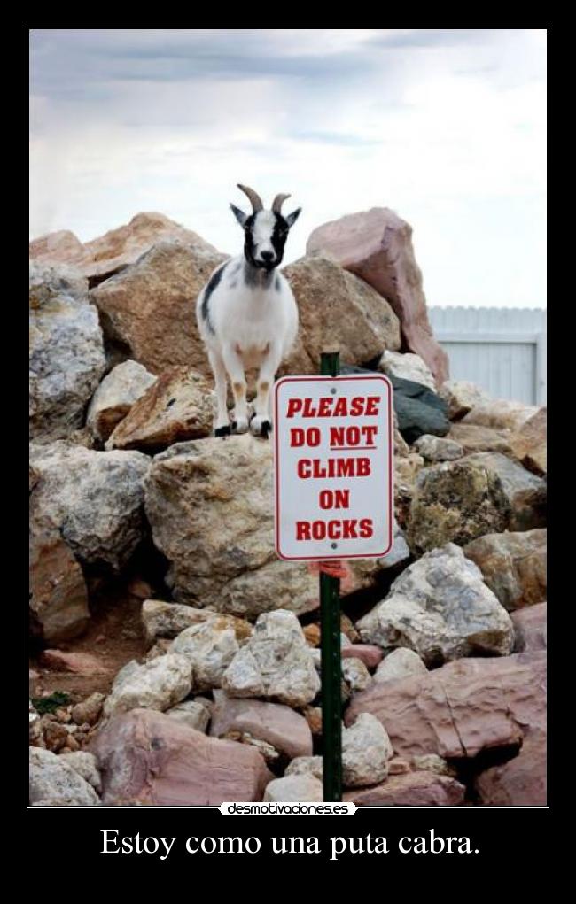 Estoy como una puta cabra. -
