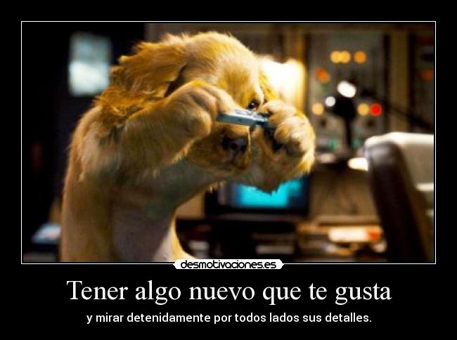 Tener algo nuevo que te gusta -