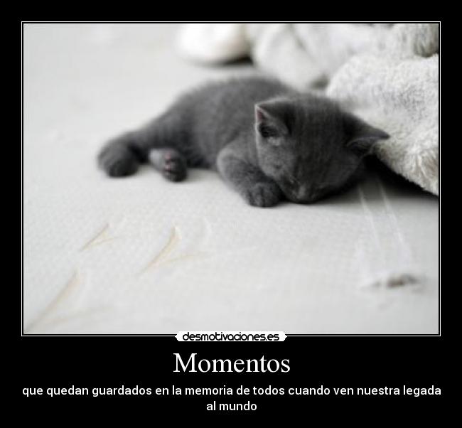 Momentos - que quedan guardados en la memoria de todos cuando ven nuestra legada al mundo