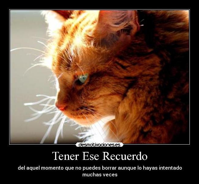 Tener Ese Recuerdo - del aquel momento que no puedes borrar aunque lo hayas intentado muchas veces