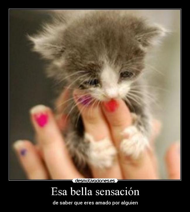 Esa bella sensación - de saber que eres amado por alguien