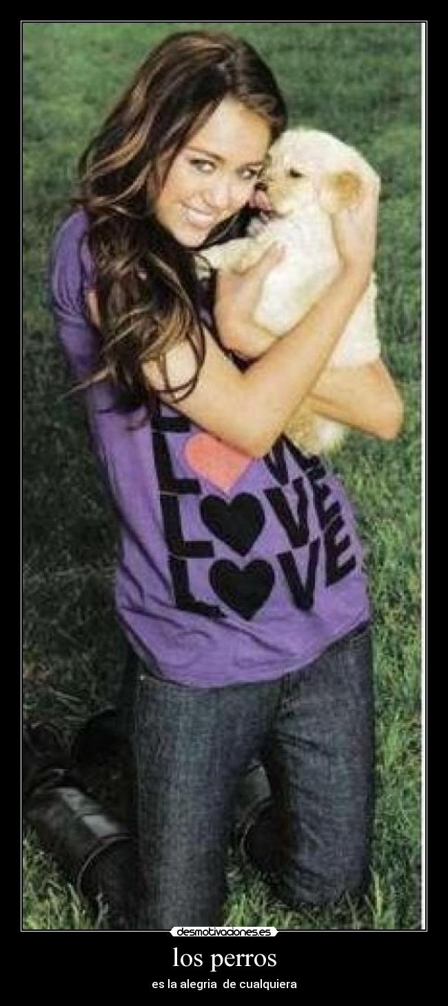 los perros -