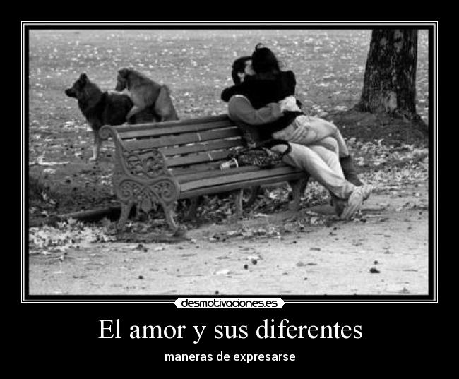 El amor y sus diferentes - maneras de expresarse