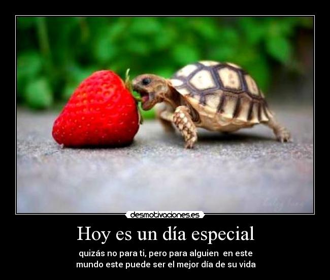 Hoy es un día especial - quizás no para ti, pero para alguien en este
mundo este puede ser el mejor día de su vida