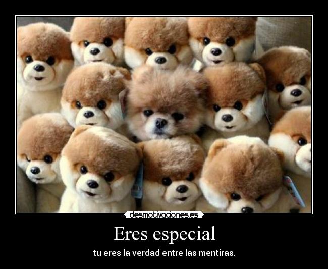 Eres especial - tu eres la verdad entre las mentiras.