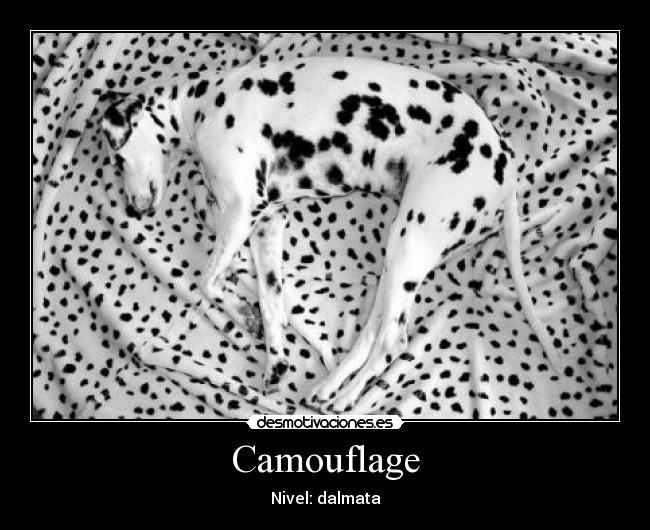 carteles problem desmotivaciones