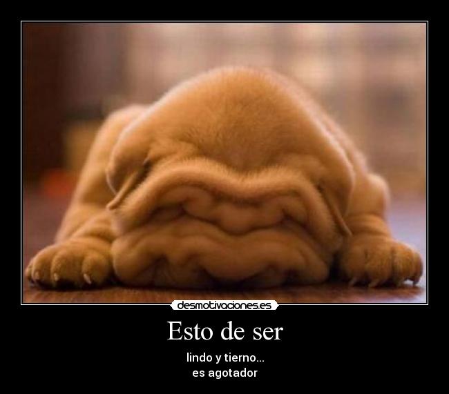 carteles tierno desmotivaciones