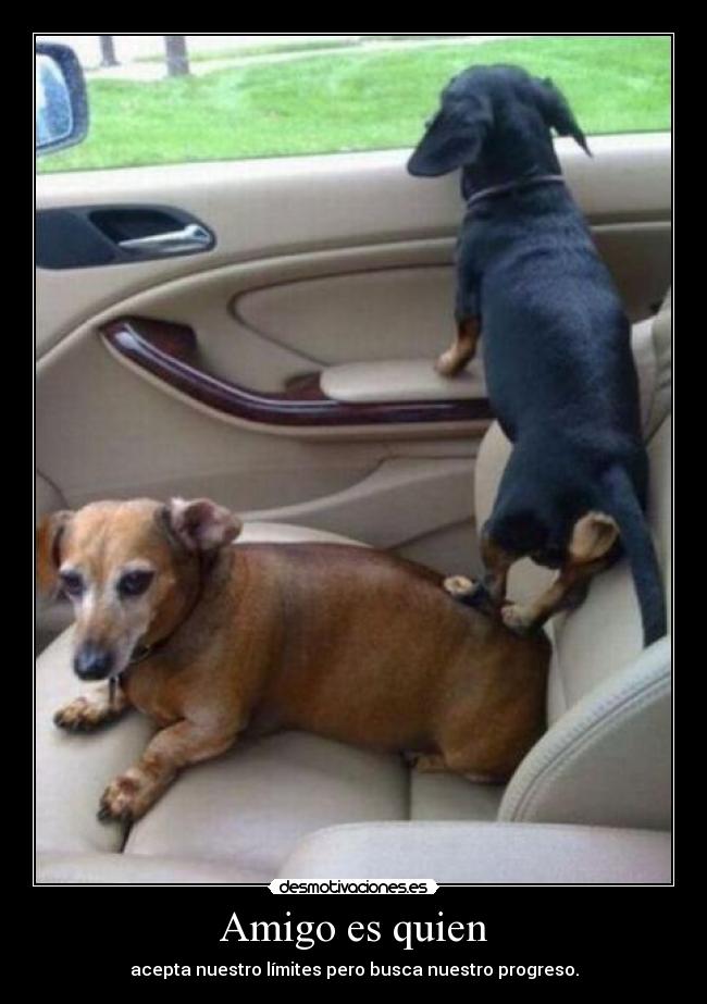 Amigo es quien - 