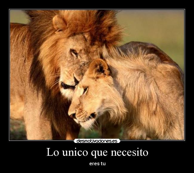 Lo unico que necesito - eres tu