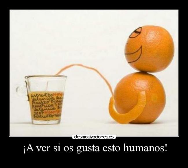 ¡A ver si os gusta esto humanos! -