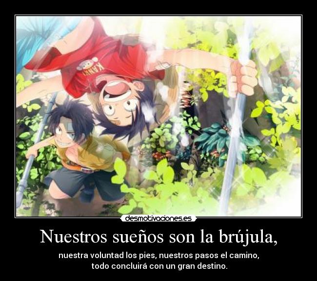 carteles one piece luffy ace harukaze desmotivaciones